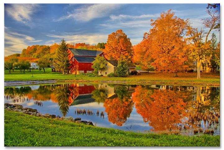 Beautiful or Not?